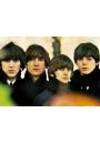 The Beatles For Sale - plakat