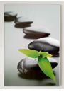 Zen Stones - Green - plakat 61x91,5 cm
