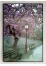 Central Park - Kwitnce Winie - Nowy Jork - plakat 61x91,5 cm