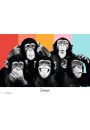 The Chimp Compilation - plakat 91,5x61 cm