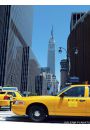 Nowy Jork - close up yellow taxi - plakat premium 60x80 cm