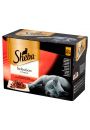 Sheba Selection mokra karma dla kota soczyste smaki w sosie 12x85 g