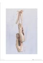Ballet Shoes - plakat premium 30x40 cm