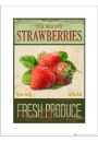 Strawberries Pick Your Own - plakat premium 30x40 cm
