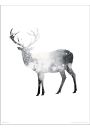 Deer Snow Trees - plakat premium 30x40 cm