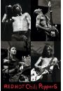 Red Hot Chili Peppers Live - plakat