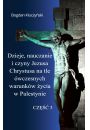 eBook Dzieje, nauczanie i czyny Jezusa Chrystusa na tle wczesnych warunkw ycia w Palestynie. Cz III pdf mobi epub