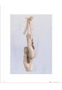 Ballet Shoes - plakat premium 40x50 cm