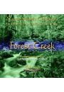 (e) Birds & Streams vol. 1: Forest Creek - Piotr Janeczek