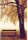 Park Bench - Jesie - awka w parku - plakat 61x91,5 cm