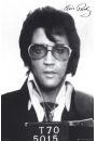 Elvis Presley Vintage Mugshot - plakat