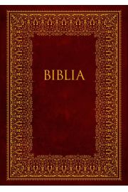 eBook Biblia. Pismo wite Starego i Nowego Testamentu mobi epub