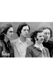The Beatles four - plakat 91,5x61 cm