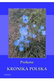 eBook Kronika polska Prokosza pdf
