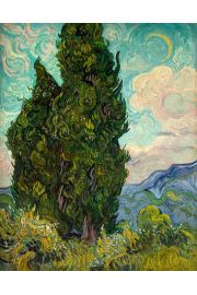 Cyprysy, Vincent van Gogh - plakat 60x80 cm