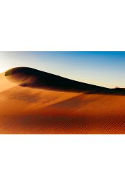 Saharyjski wiatr - plakat premium 80x60 cm