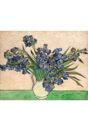 Irysy, Vincent van Gogh - plakat 91,5x61 cm