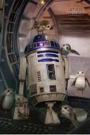 Star Wars Gwiezdne Wojny Ostatni Jedi Porgs and R2-D2 - plakat 61x91,5 cm