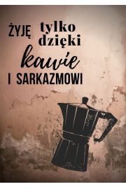 Kawa i sarkazm, miedziany - plakat 20x30 cm