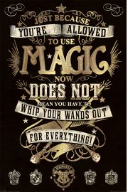 Harry Potter Magia - plakat 61x91,5 cm