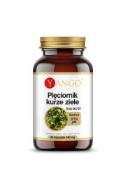 Yango Piciornik kurze ziele - ekstrakt 10:1 Suplement diety 90 kaps.