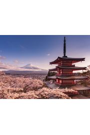 Gra Fuji i Kwitnce Winie - plakat 140x100 cm