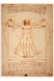 Anatomia Leonardo da Vinci - plakat 20x30 cm