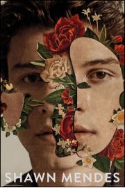 Shawn Mendes Flowers - plakat 61x91,5 cm