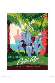 Piddix Puerto Rico - plakat premium 30x40 cm