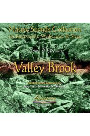 (e) Birds & Streams vol. 3: Valley Brook