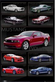 Ewolucja Forda Mustanga Shelby - plakat
