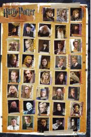 Harry Potter 7 Characters - plakat 61x91,5 cm