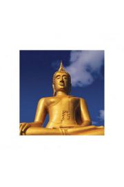 Golden Buddha - plakat premium 40x40 cm