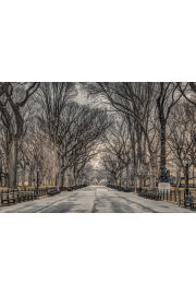 Nowy Jork Central Park Assaf Frank - plakat 91,5x61 cm