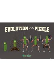 Rick and Morty Evolution Of The Pickle Rick - plakat 91,5x61 cm
