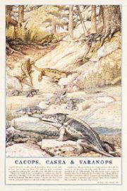 Dinozaury - Cacops i Waranops - plakat 61x91,5 cm