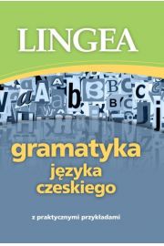 eBook Gramatyka jzyka czeskiego z praktycznymi przykadami pdf mobi epub