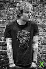 Ed Sheeran Skull - plakat 61x91,5 cm