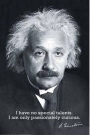 Albert Einstein - plakat 61x91,5 cm