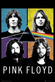 Pink Floyd Skad - plakat 61x91,5 cm