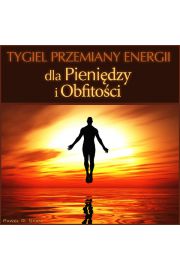 Audiobook Tygiel przemiany energii - dla Pienidzy i Obfitoci mp3