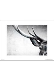 Deer Snow - plakat premium 40x30 cm