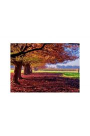 Kolorowy Krajobraz - plakat premium 80x60 cm