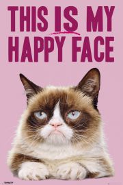 Grumpy Cat Happy face - plakat 61x91,5 cm