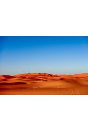 Sahara karawana - plakat premium 100x70 cm