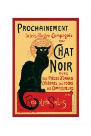 Chat Noir - plakat premium 40x50 cm
