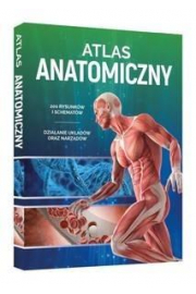 Atlas anatomiczny wyd.SBM