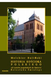 eBook Historia Kocioa polskiego od czasw pogaskich do mierci Bolesawa miaego pdf