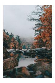 Jesienny potok - plakat 40x60 cm