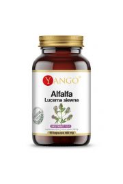 Yango Alfalfa - Lucerna siewna Suplement diety 60 kaps.
